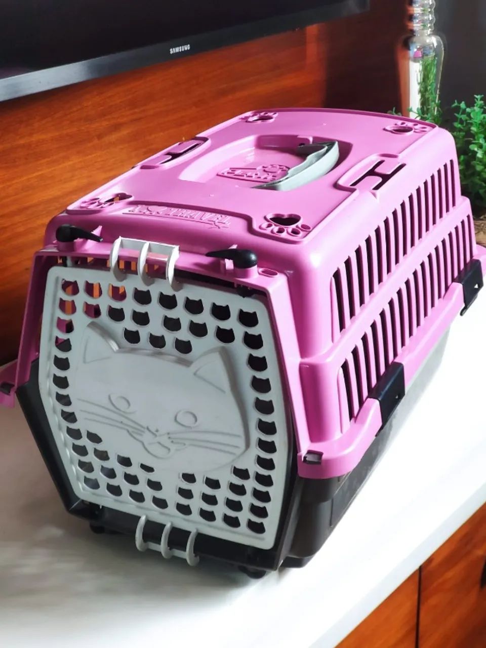 caixa transporte animais pequena