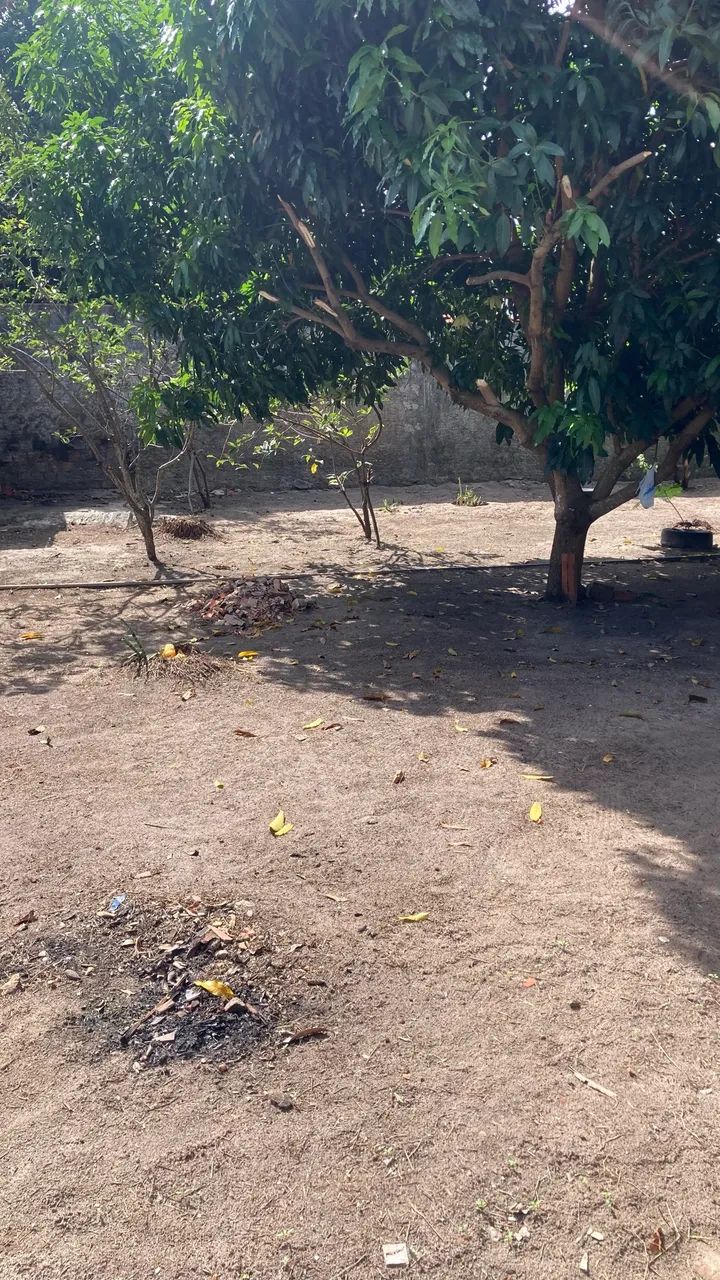Vende-se um sítio/ chácara  - Foto 4