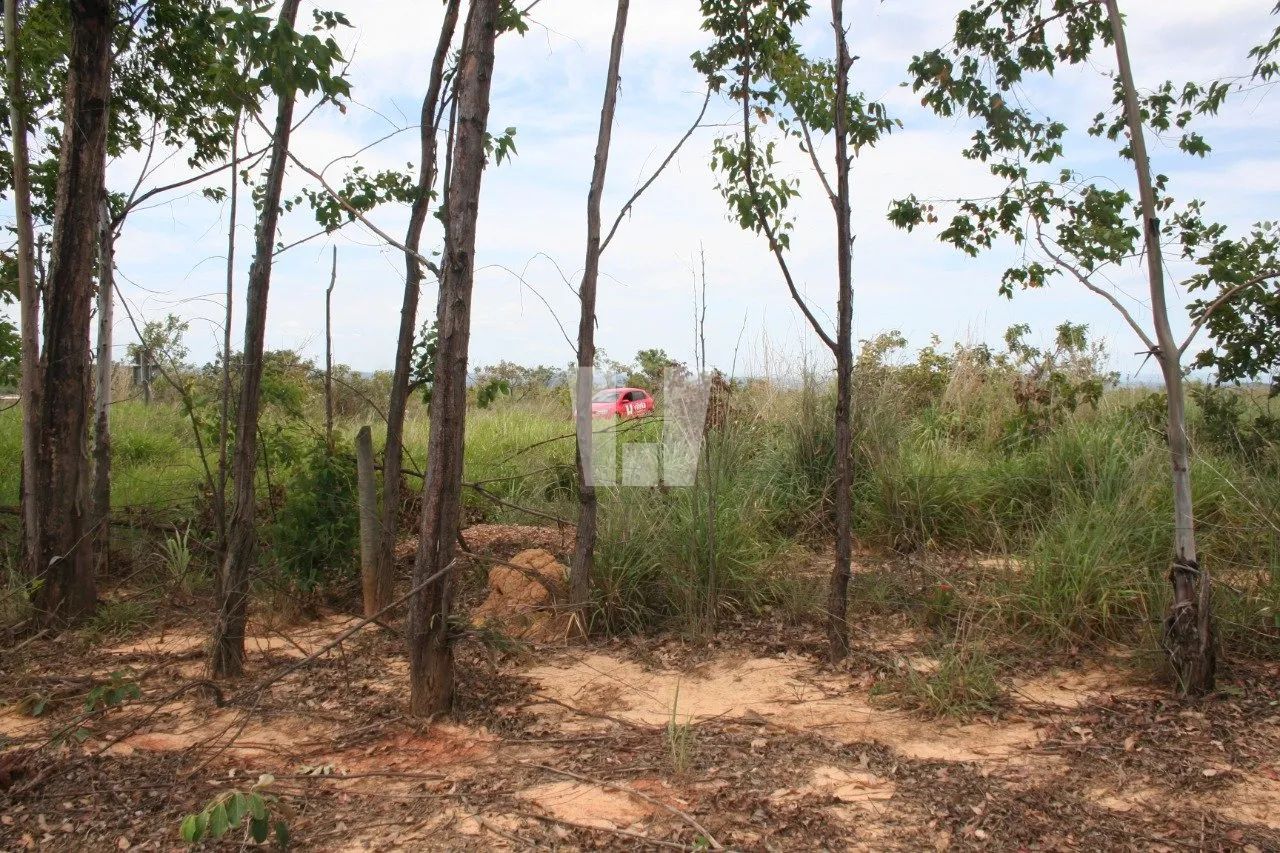Chacara com 1,5 hectares a 85 km de BH - Foto 4