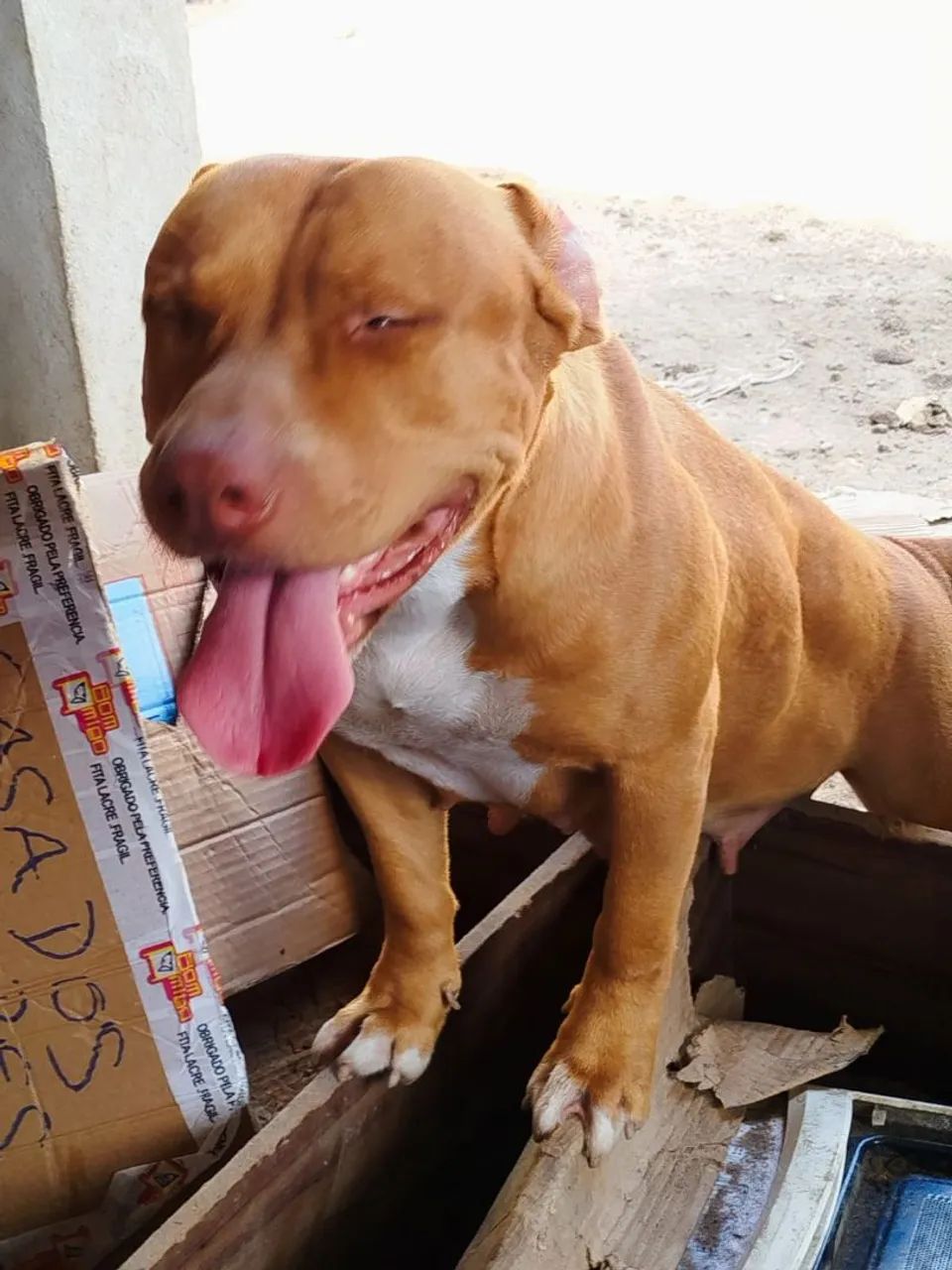 Doação  - Foto 3