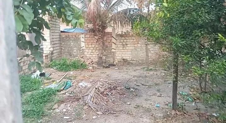 Foto - Santarém - Santíssimo