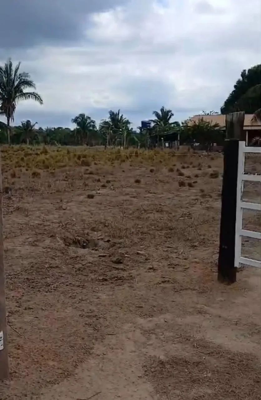 6 Alqueires ( Vendo e Aceito Permuta ) - Foto 3