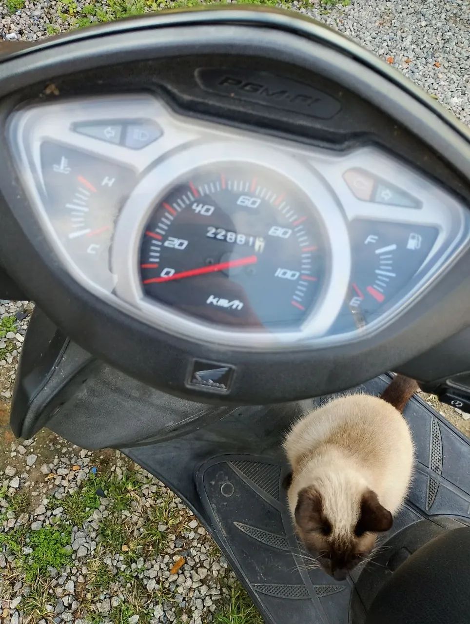 Honda lead  - Foto 2