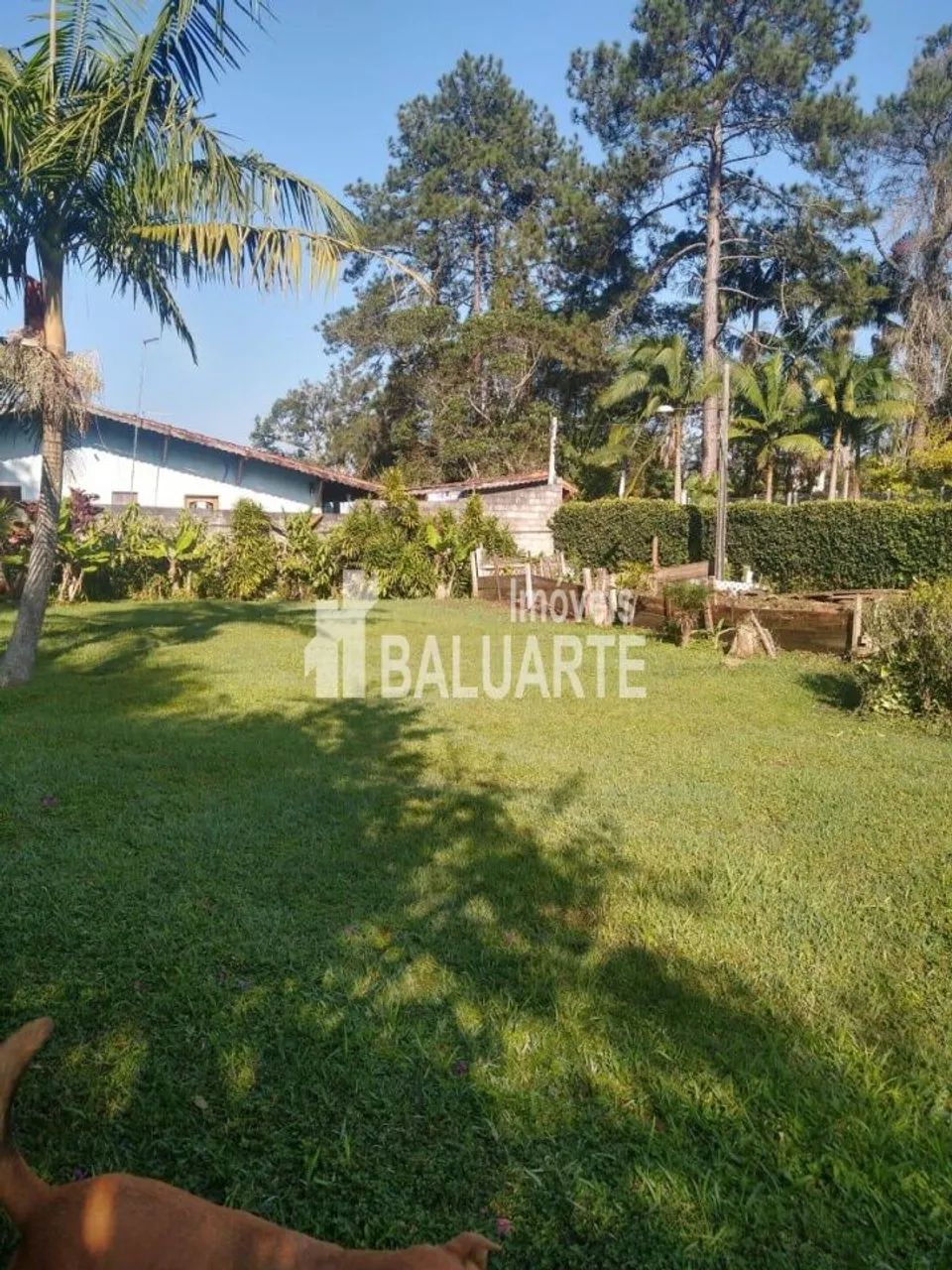 Chácara à Venda - Foto 4