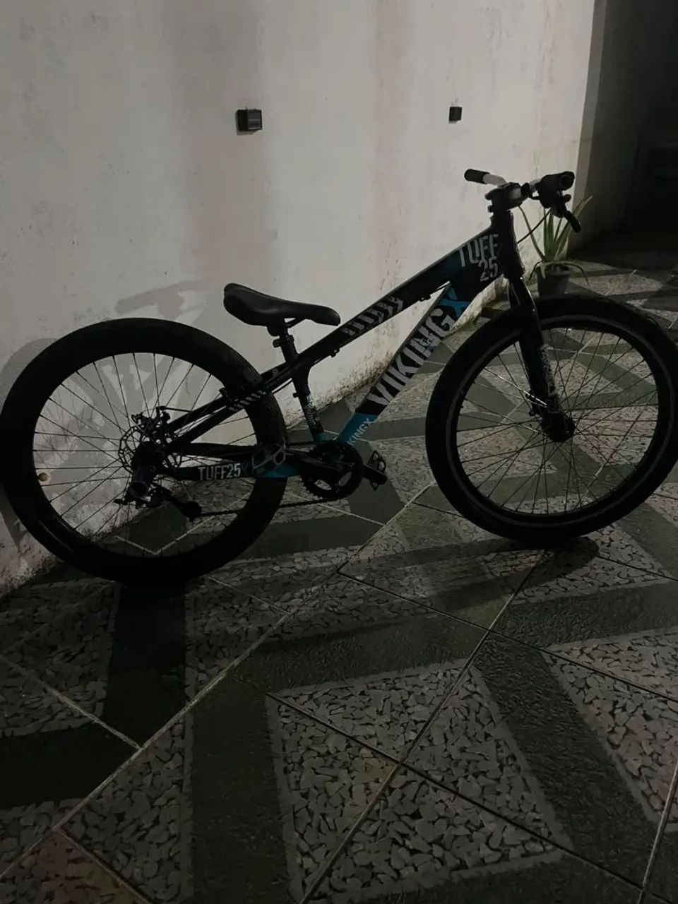 Vikingx  - Foto 2