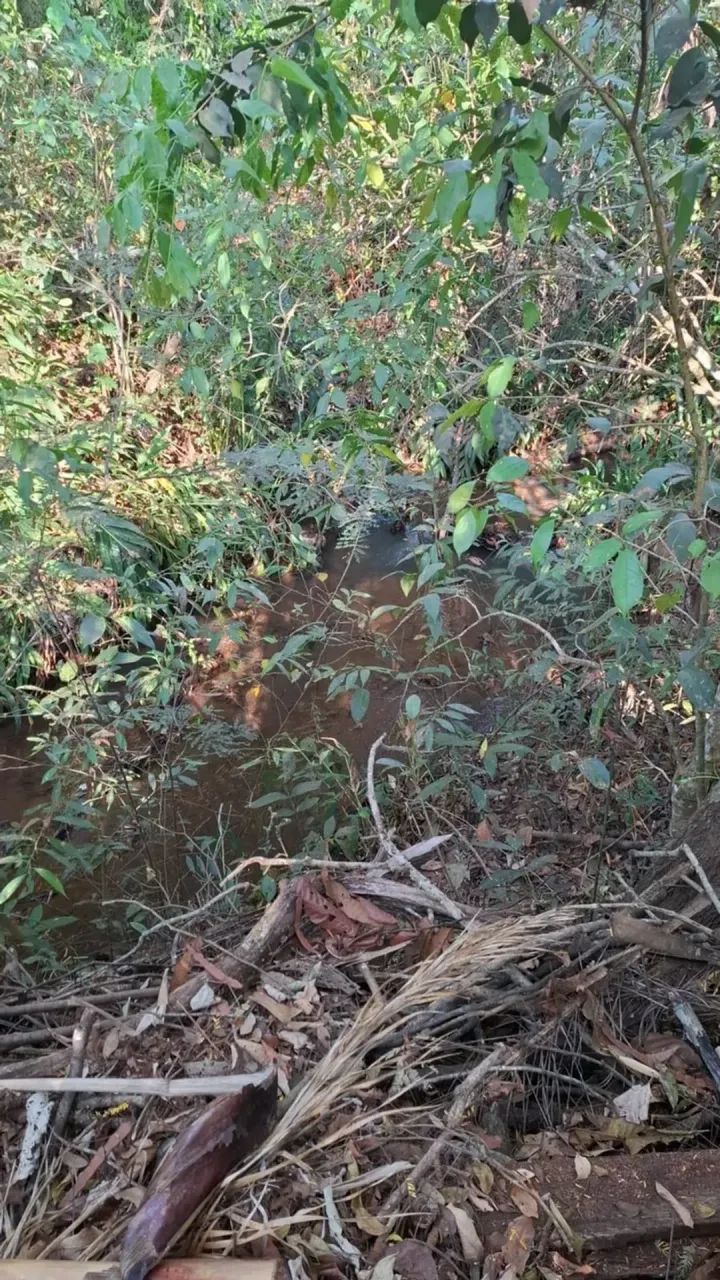 CHÁCARA À VENDA  REGIÃO DE BONFINÓPOLIS/GO - Foto 5
