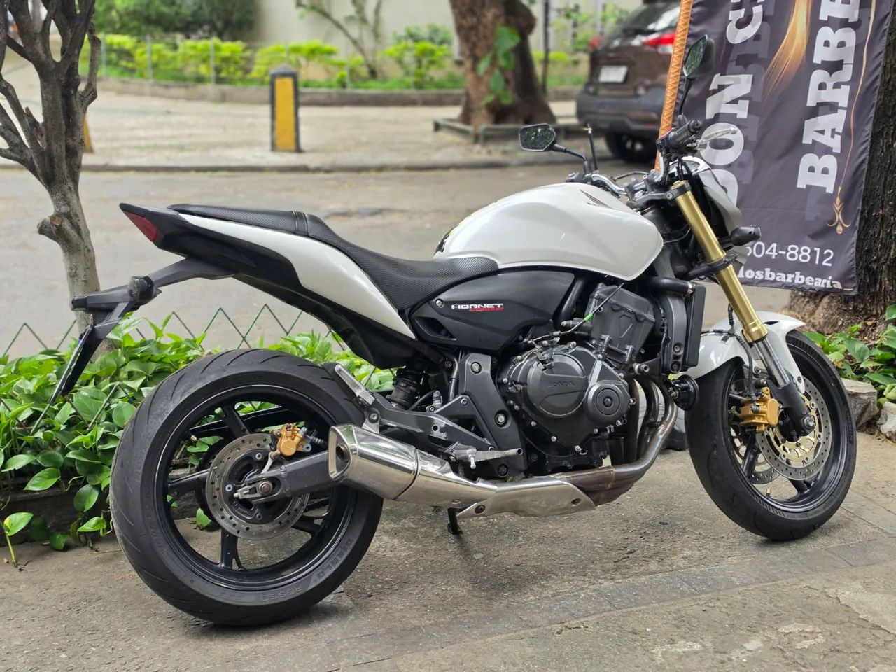 Hornet 2012 - Foto 4