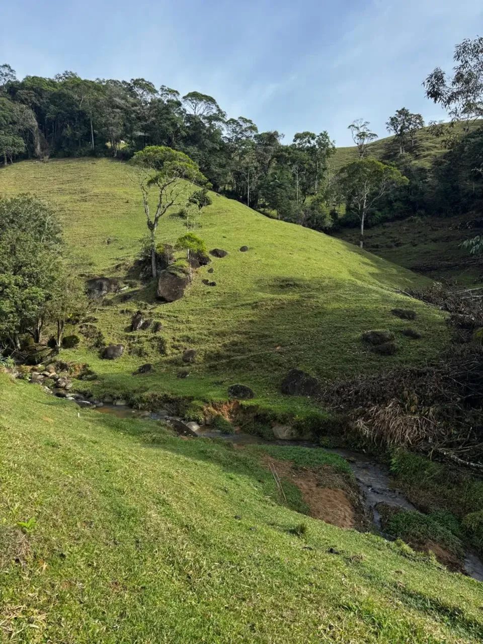 Sitio com Escritura Publica em Águas Mornas - SC - Foto 4