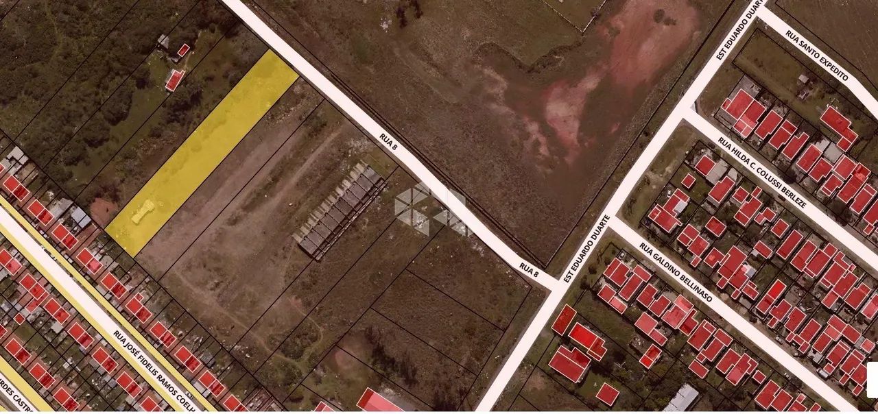 Terreno com 2390m² de área Bairro Diácono João Luiz Pozzobon - Foto 6
