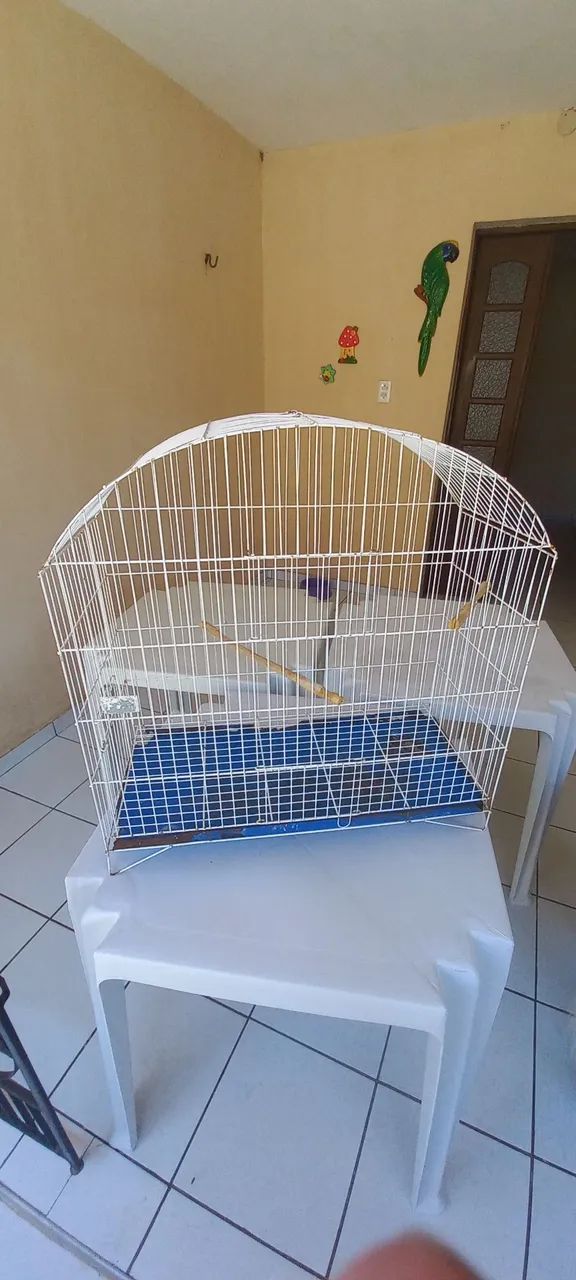 Gaiola viveiro de ferro