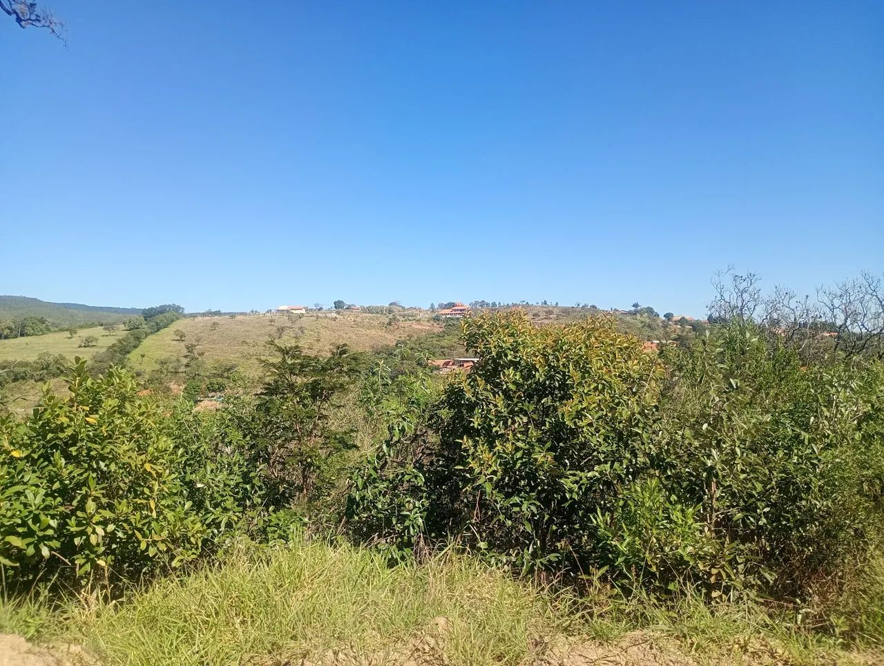 Terreno para chácara  1250 mts