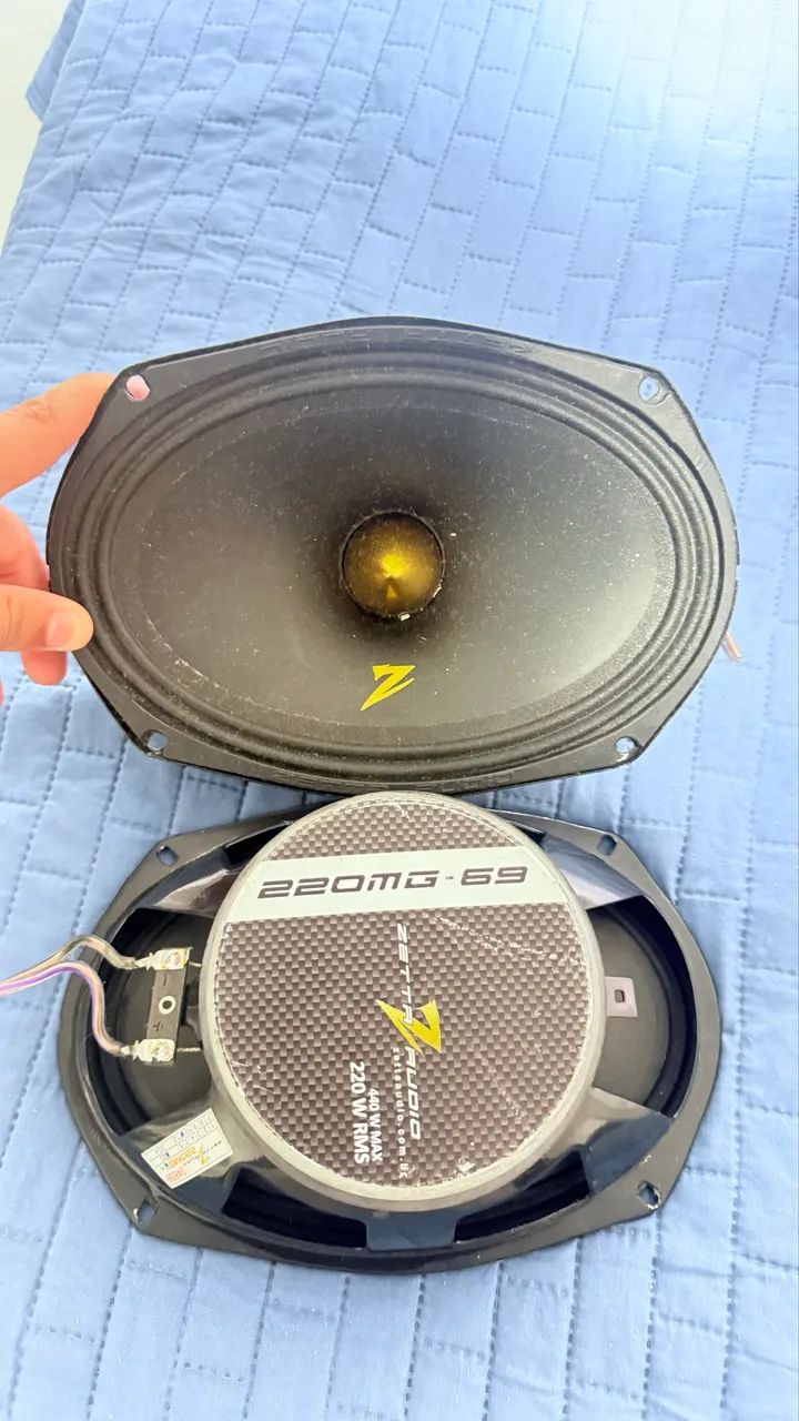  Par de 69 zetta 220 rms