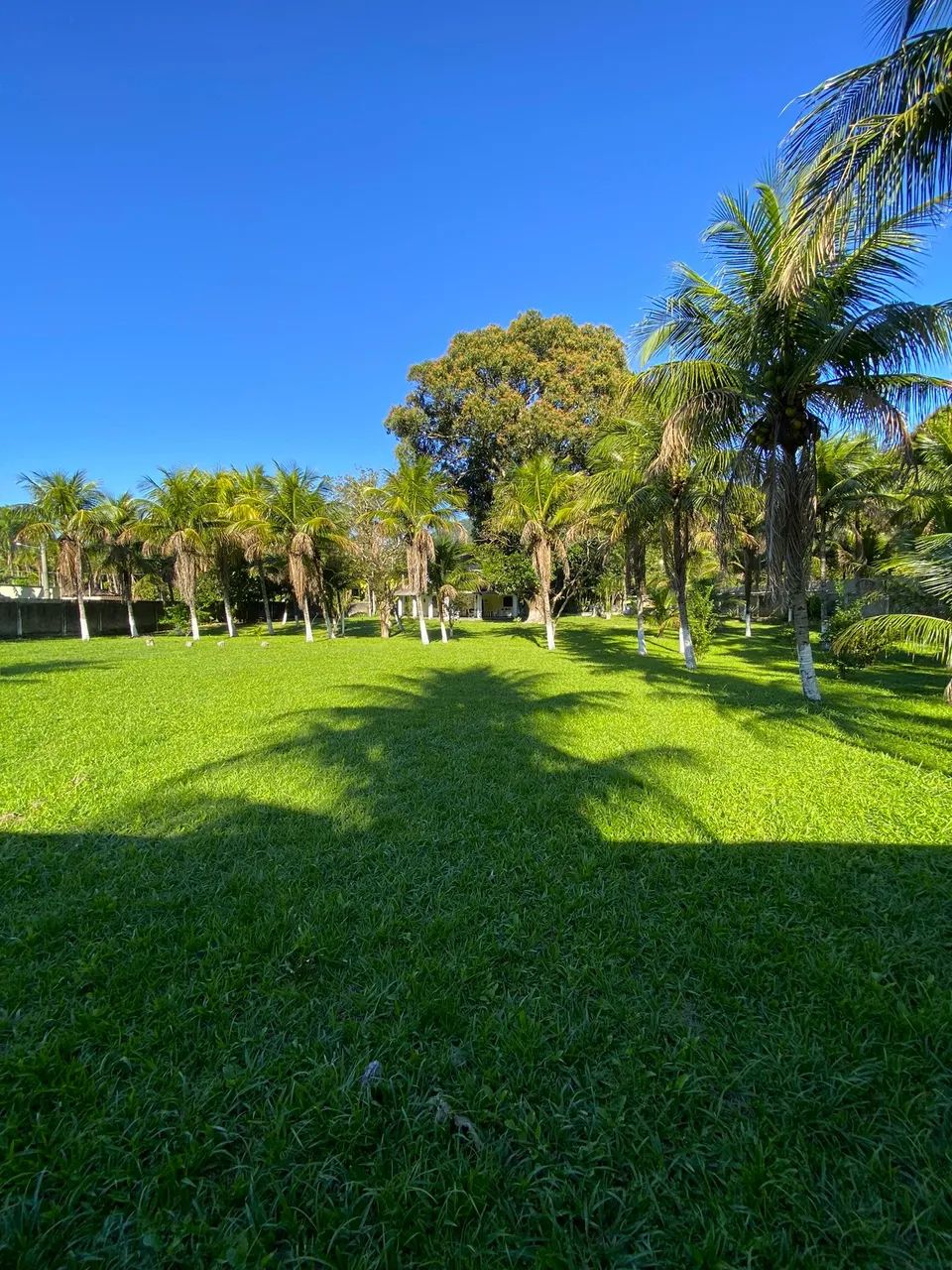 (V) Itaguaí, Sítio com casa duplex. - Foto 3