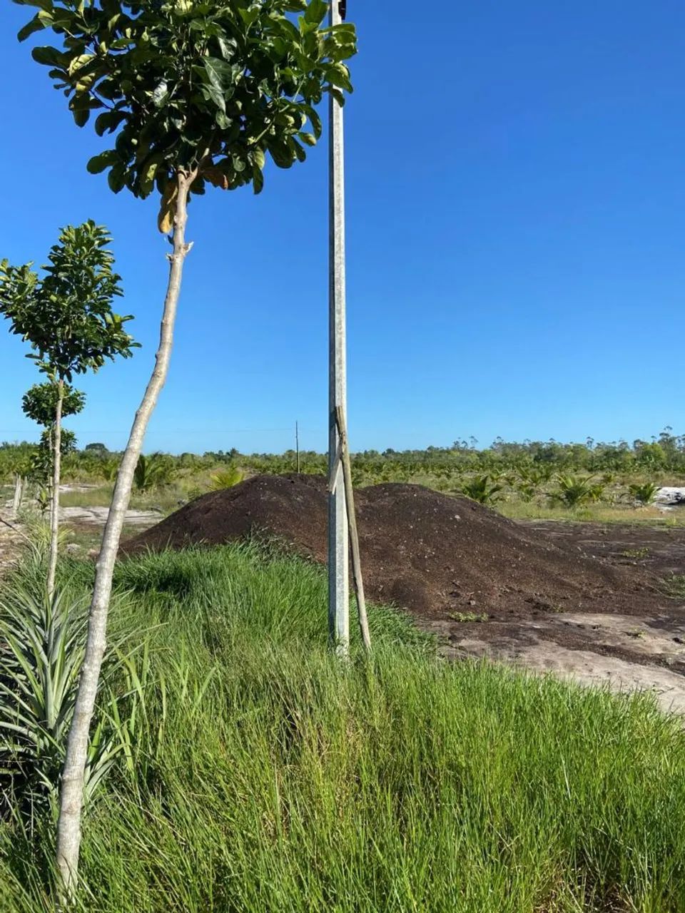 12 hectares em Jaguaré es  - Foto 2