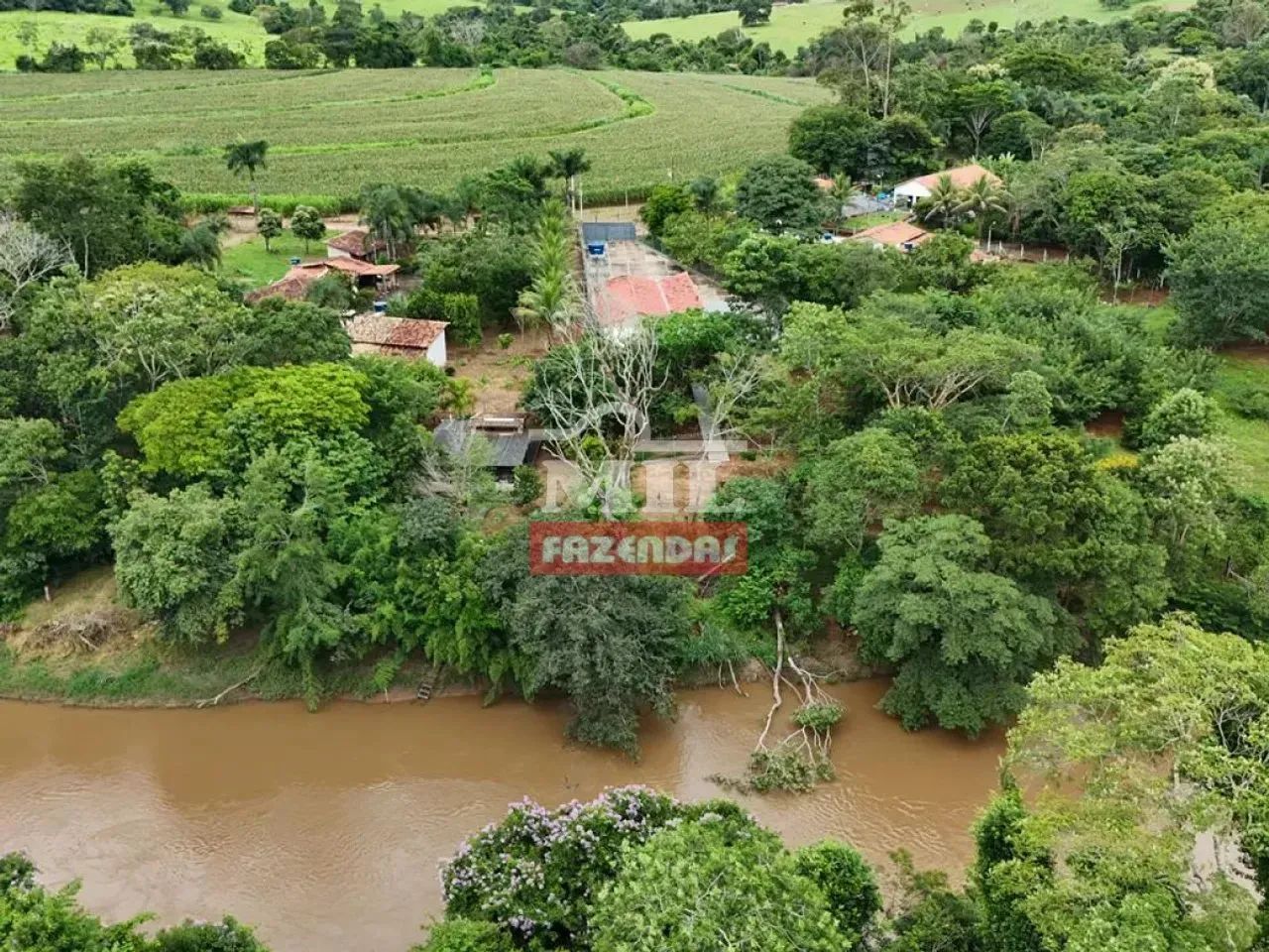 Chácara 3.000M² Itaberaí-GO. - Foto 2