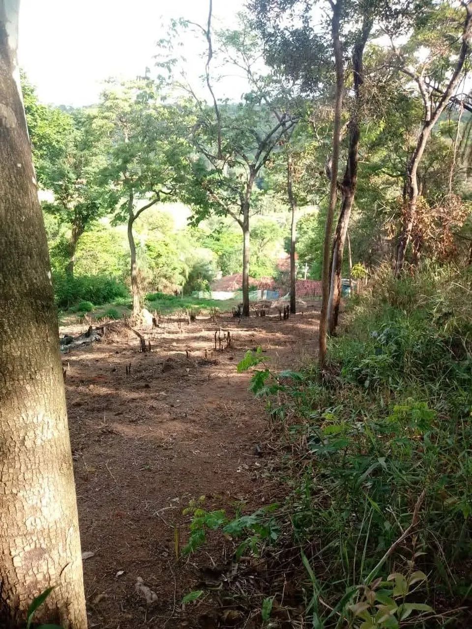 Chácara para venda ou troca - Foto 4