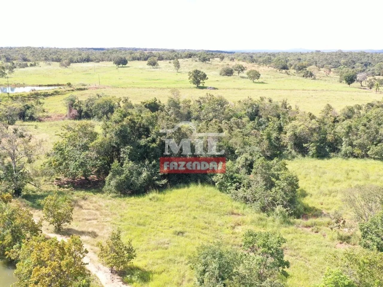 Fazenda Extra em Mara Rosa-GO. (65 Alqueires)