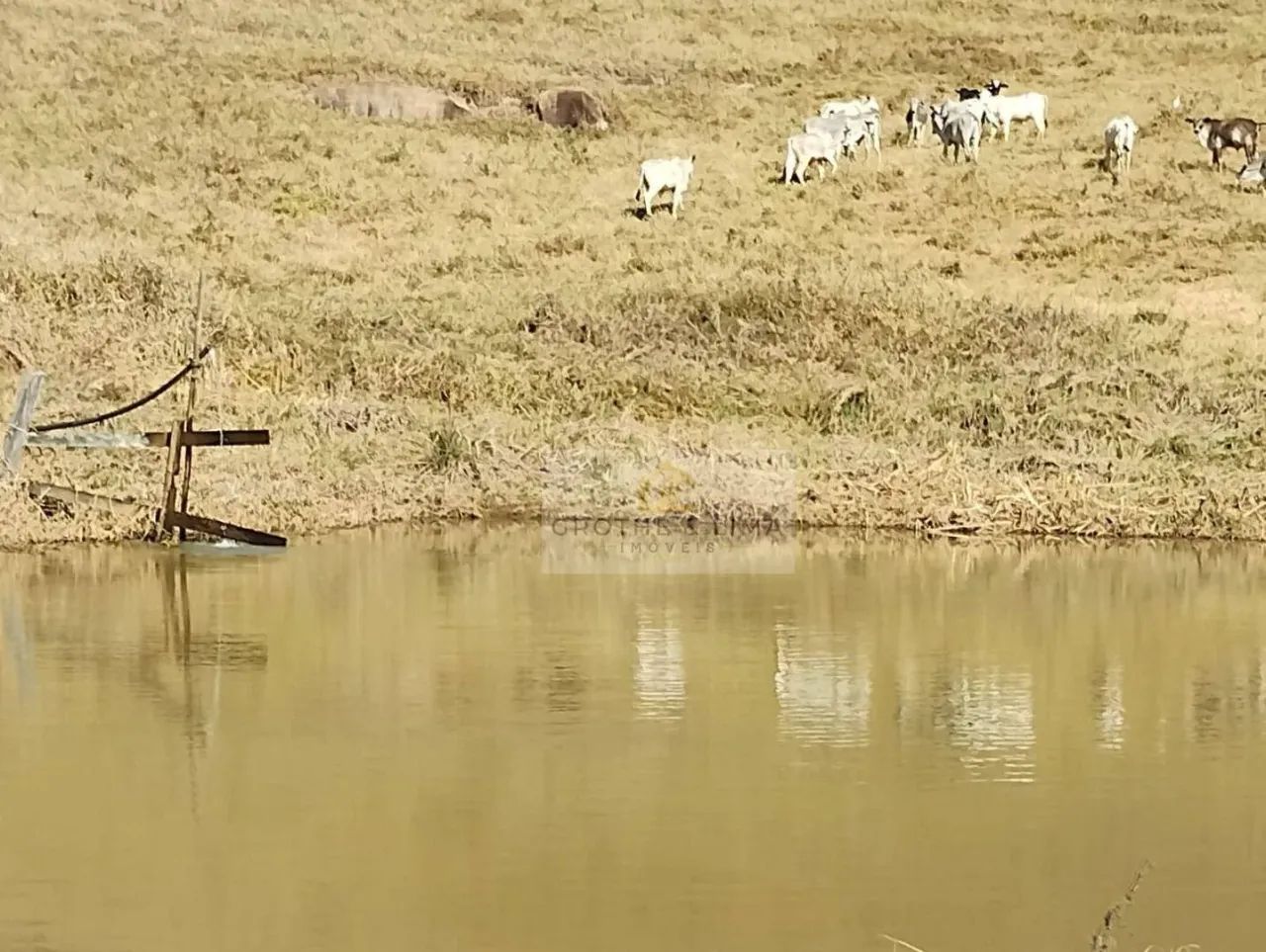 Sítio à Venda em São Luís do Paraitinga  Duas Nascentes e Represas com Peixe - Foto 2