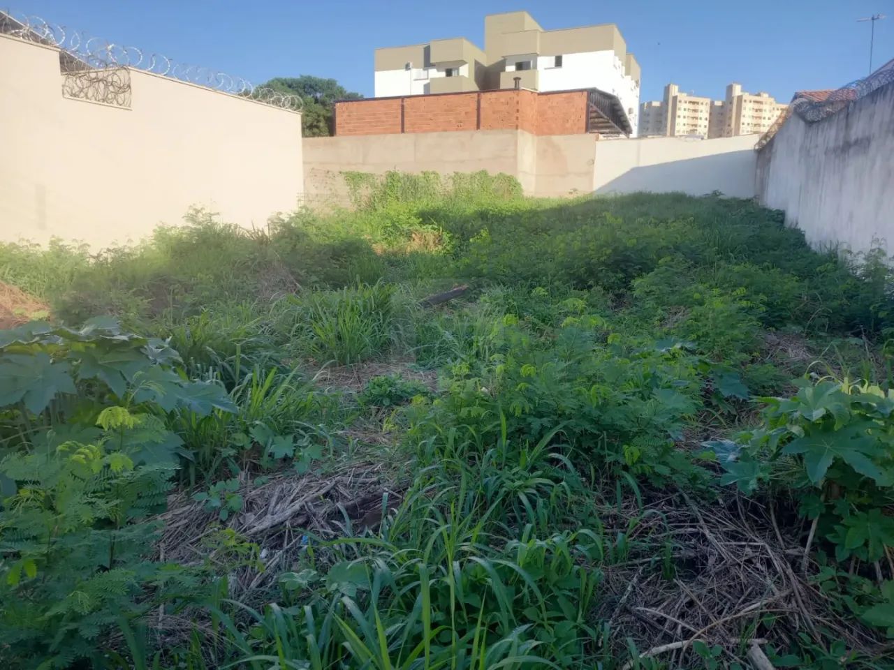 Terreno Para Venda No Bairro Roosevelt