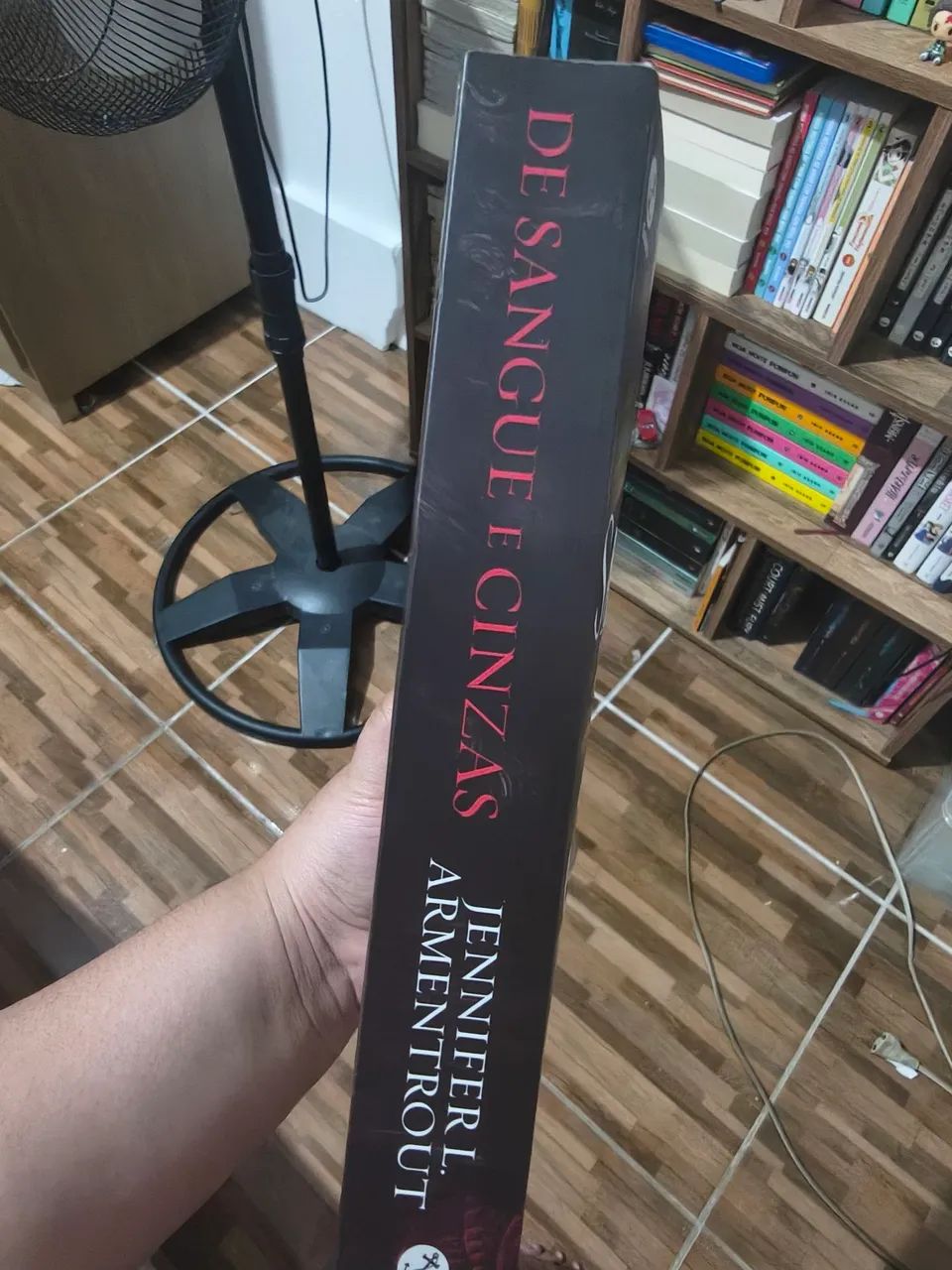 Livro De Sangue e Cinzas - Foto 3