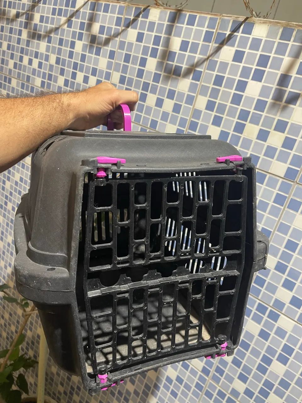 Caixa transportadora de pet