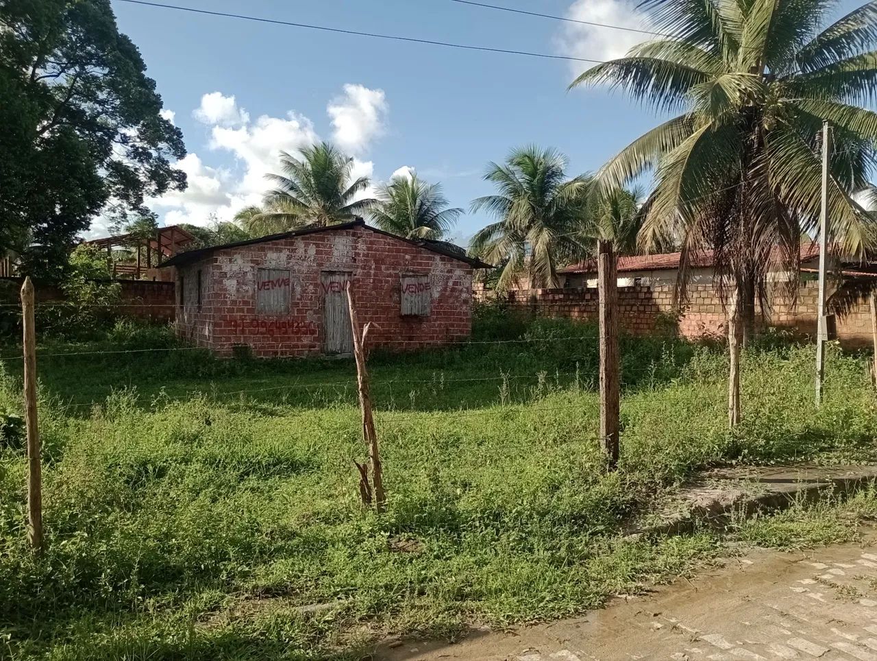 Foto - Dias DÁvila - 