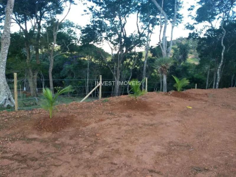 Terreno - Chácara MG - Foto 2