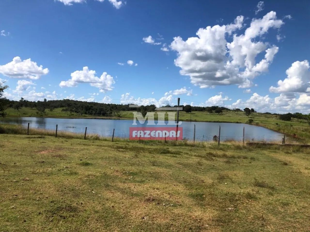 Fazenda Extra em Mara Rosa-GO. (65 Alqueires) - Foto 5