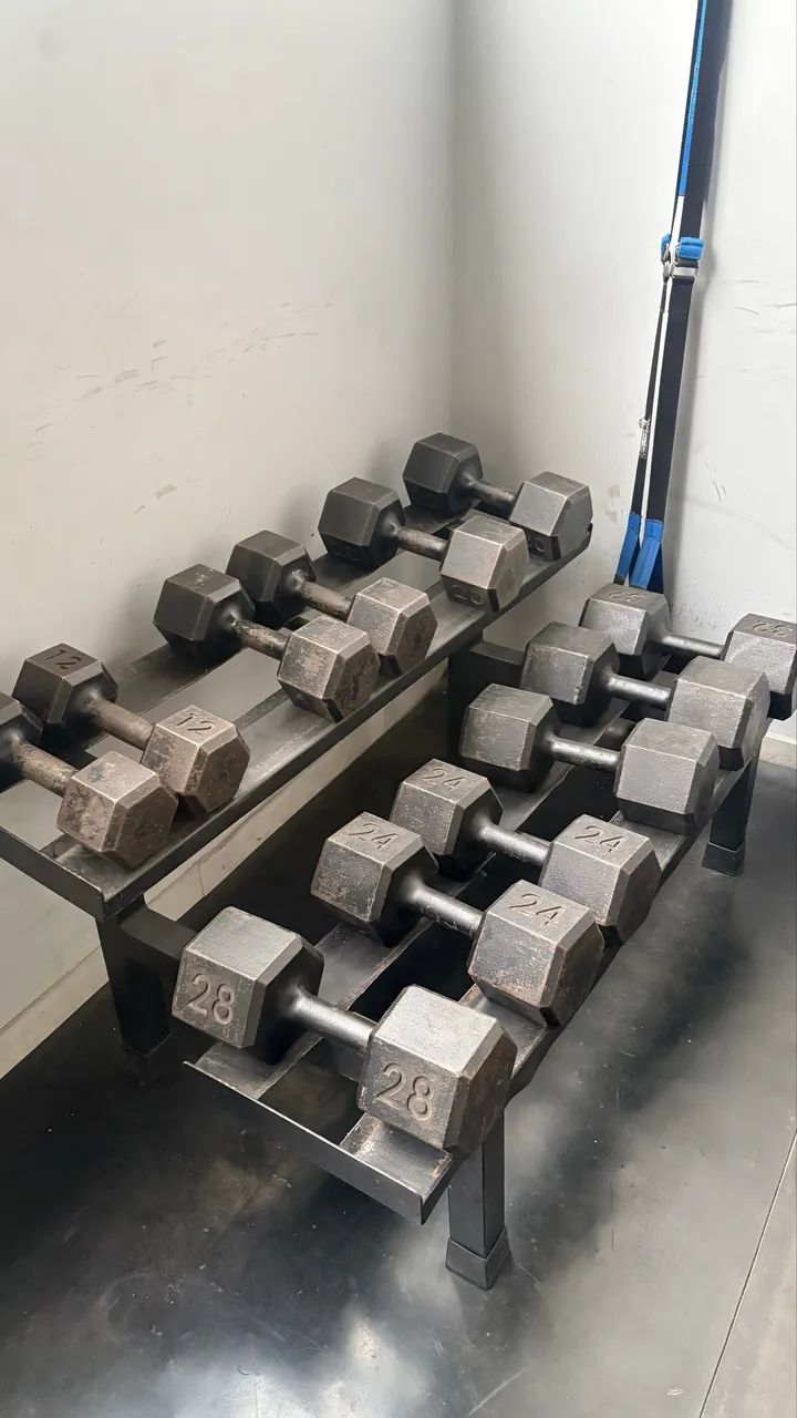 Kit Dumbells 12 ao 32 - Foto 3