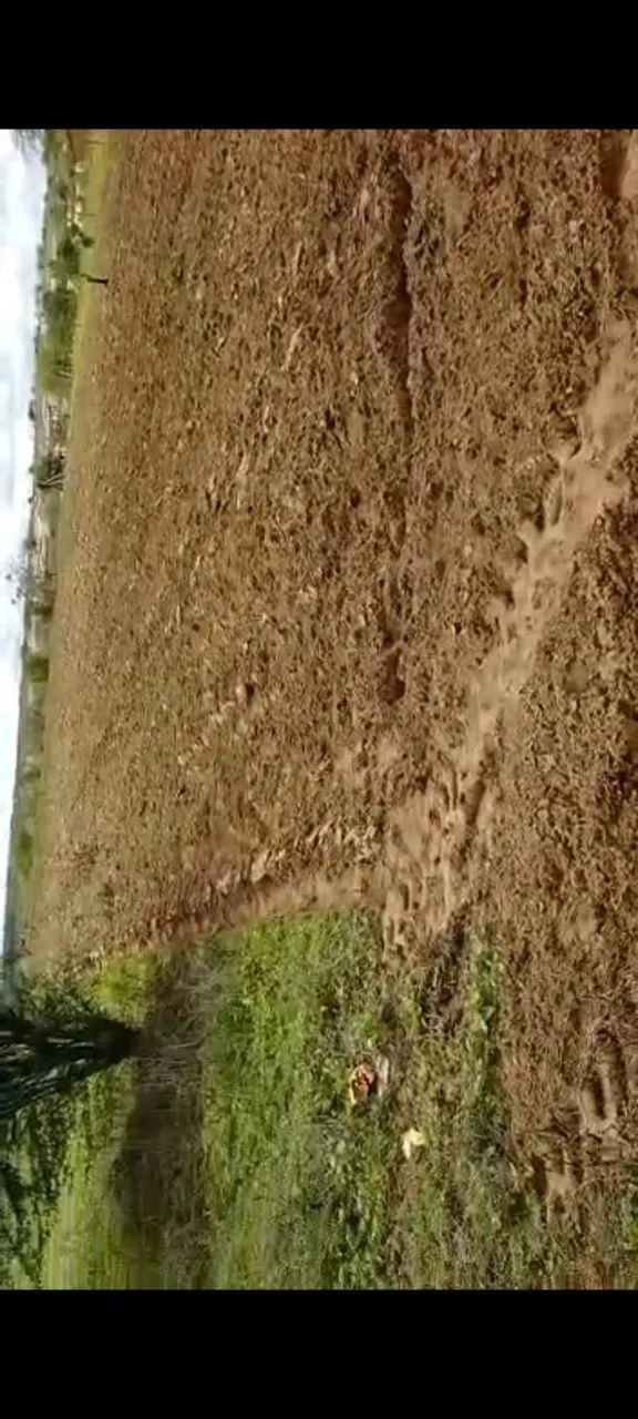 Terreno 1.800m² (60x30) Sítio Arruda - próximo a Pocinhos - Foto 3