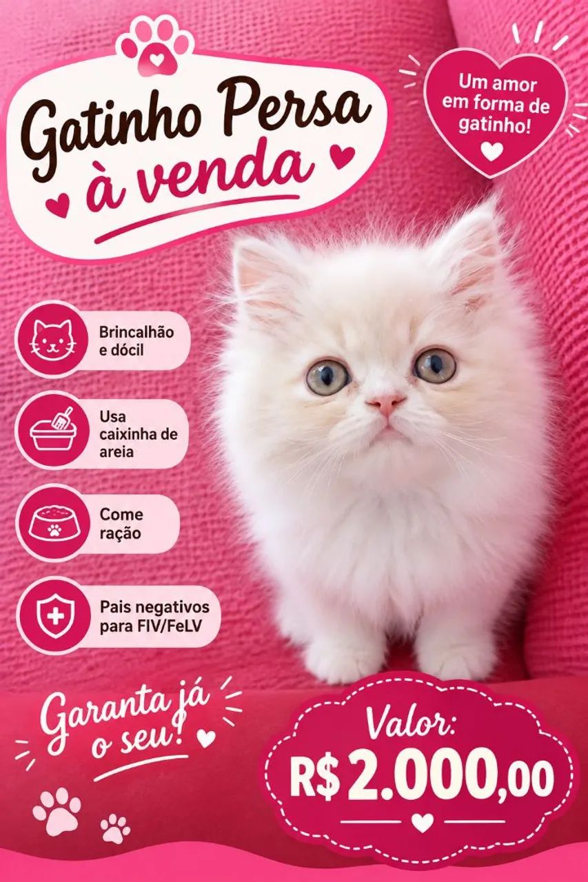 Gato persa