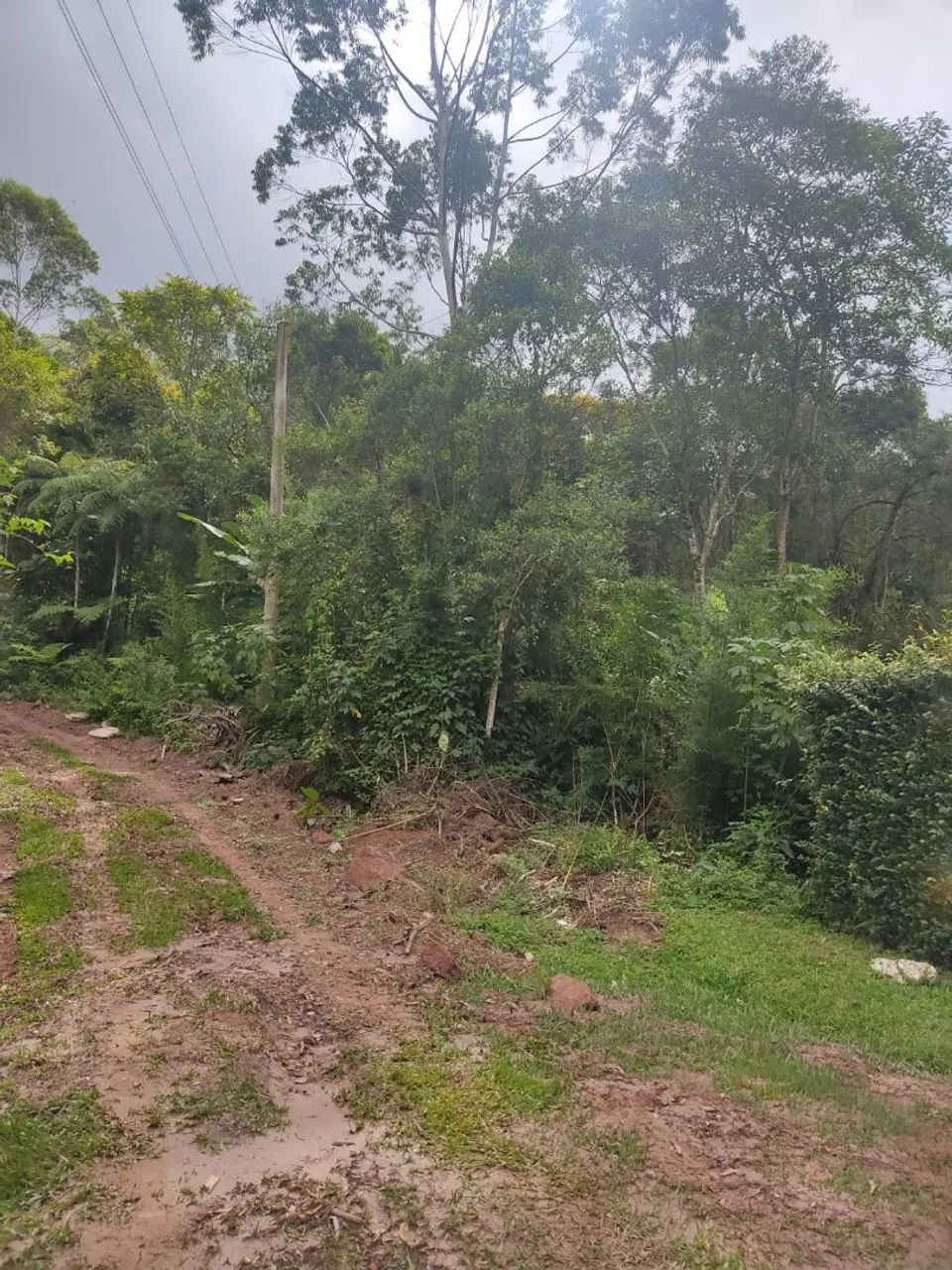 Foto - São Lourenço da Serra - 