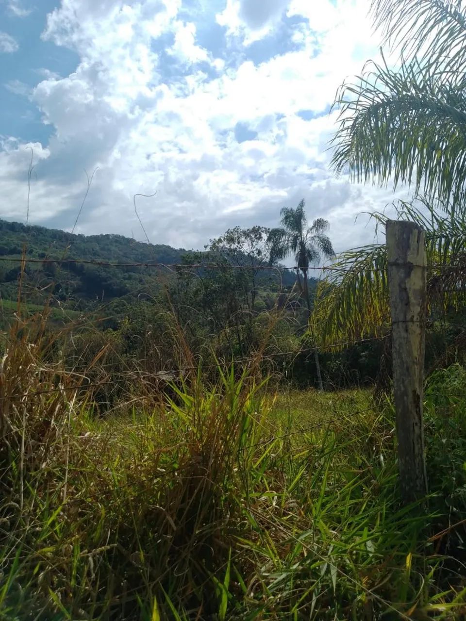Sitio  - Foto 3