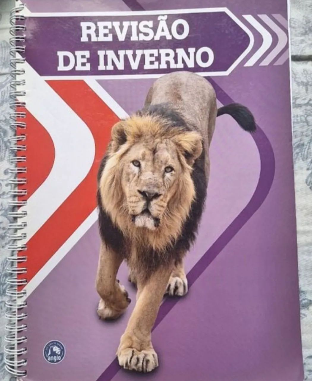 Caderno do Aluno - Anglo - Foto 4