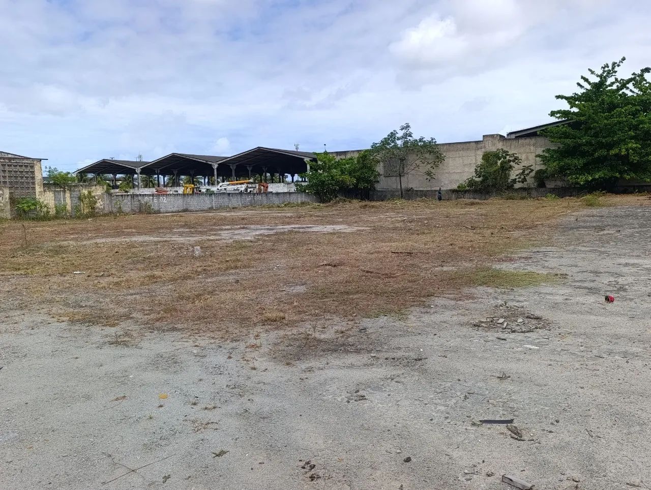 LIMPEZA GERAL, roçagem, poda, gadanhagem, coleta de resíduos e etc.. - Foto 4