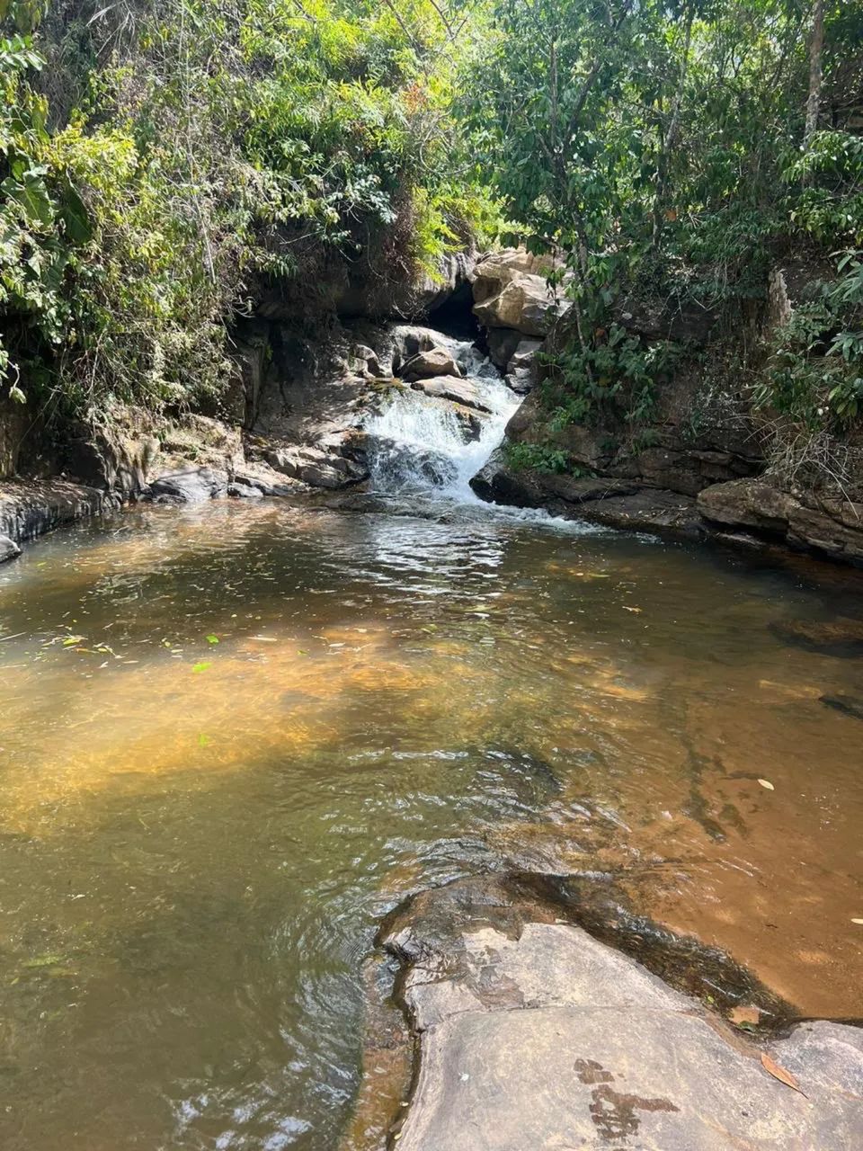Vendo chácara em santa Isabel / Domingos Martins  - Foto 2