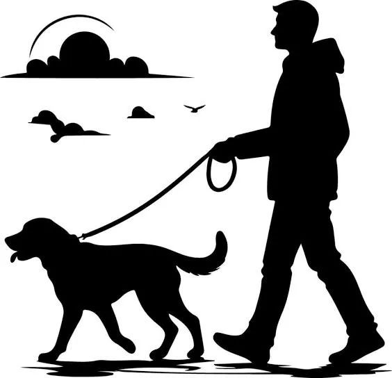 Passeio com cães 