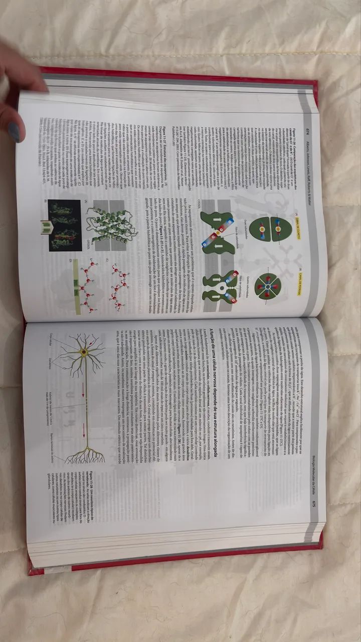 Biologia Molecular da CÉLULA 5ª Edição - Foto 4