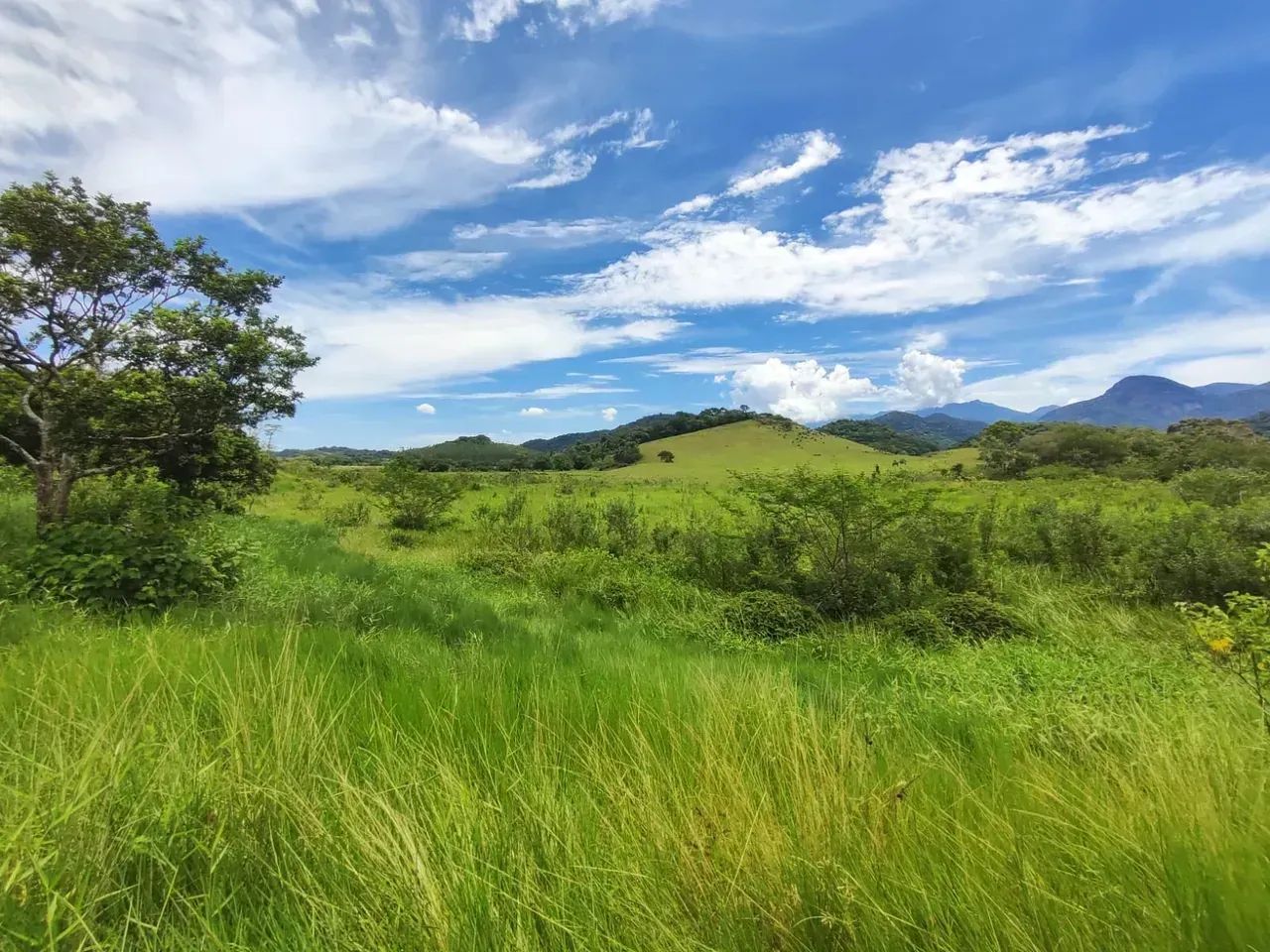 TERRENO 40.000m² Cachoeiras de Macacu - Foto 4