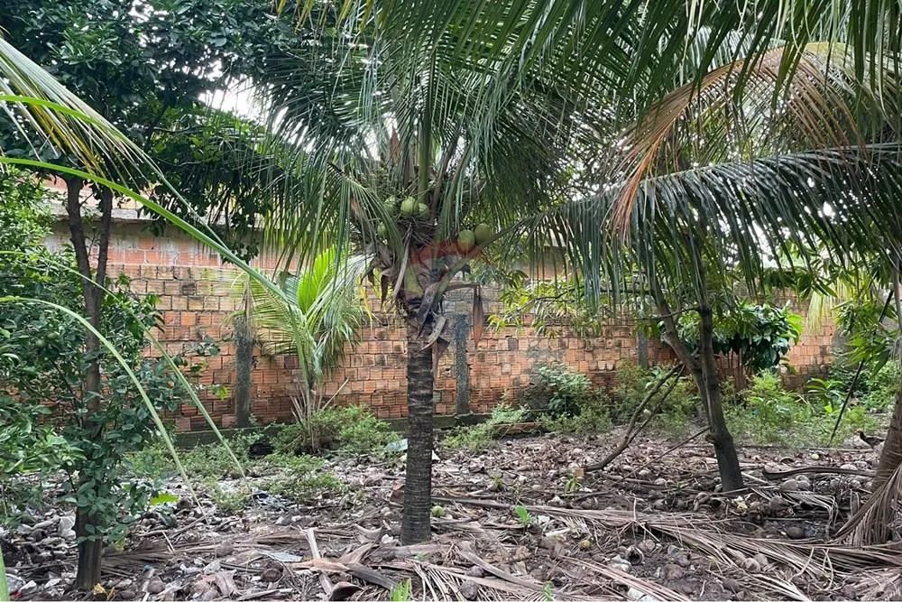 Terreno em Tamandaré, PE - 360m² - Foto 4