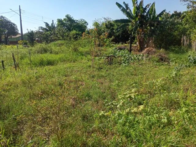 2 Terrenos Juntos a venda 600M² - Foto 3