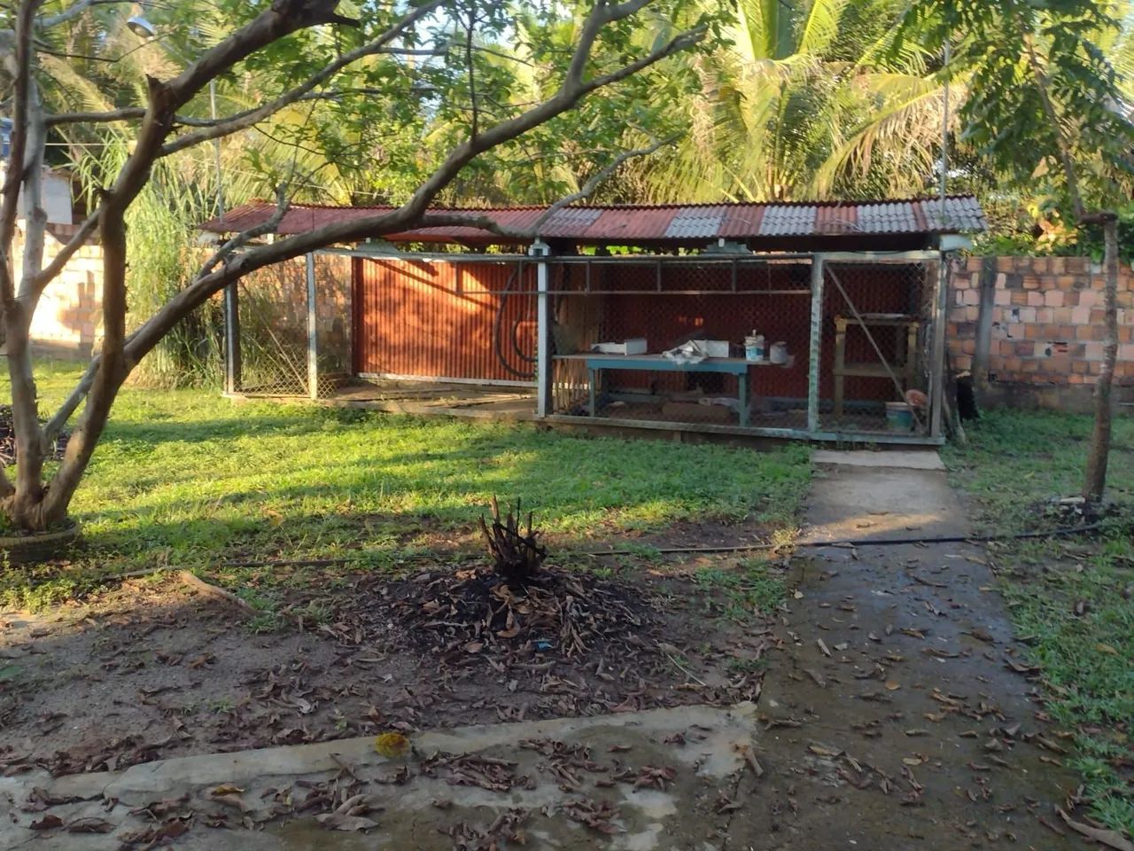 Sítio em Iranduba  - Foto 2