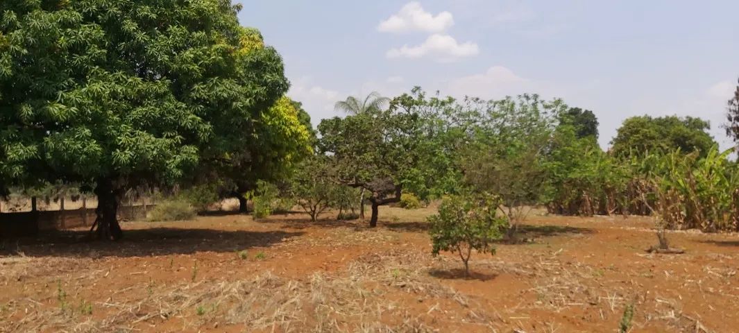Chácara a 8 km de Brazlândia - Com Escritura 10.000m² - Foto 6