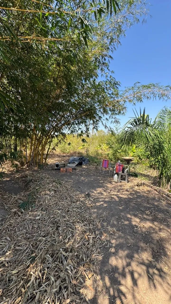 Terreno no Valo Verde próximo do rio  - Foto 5