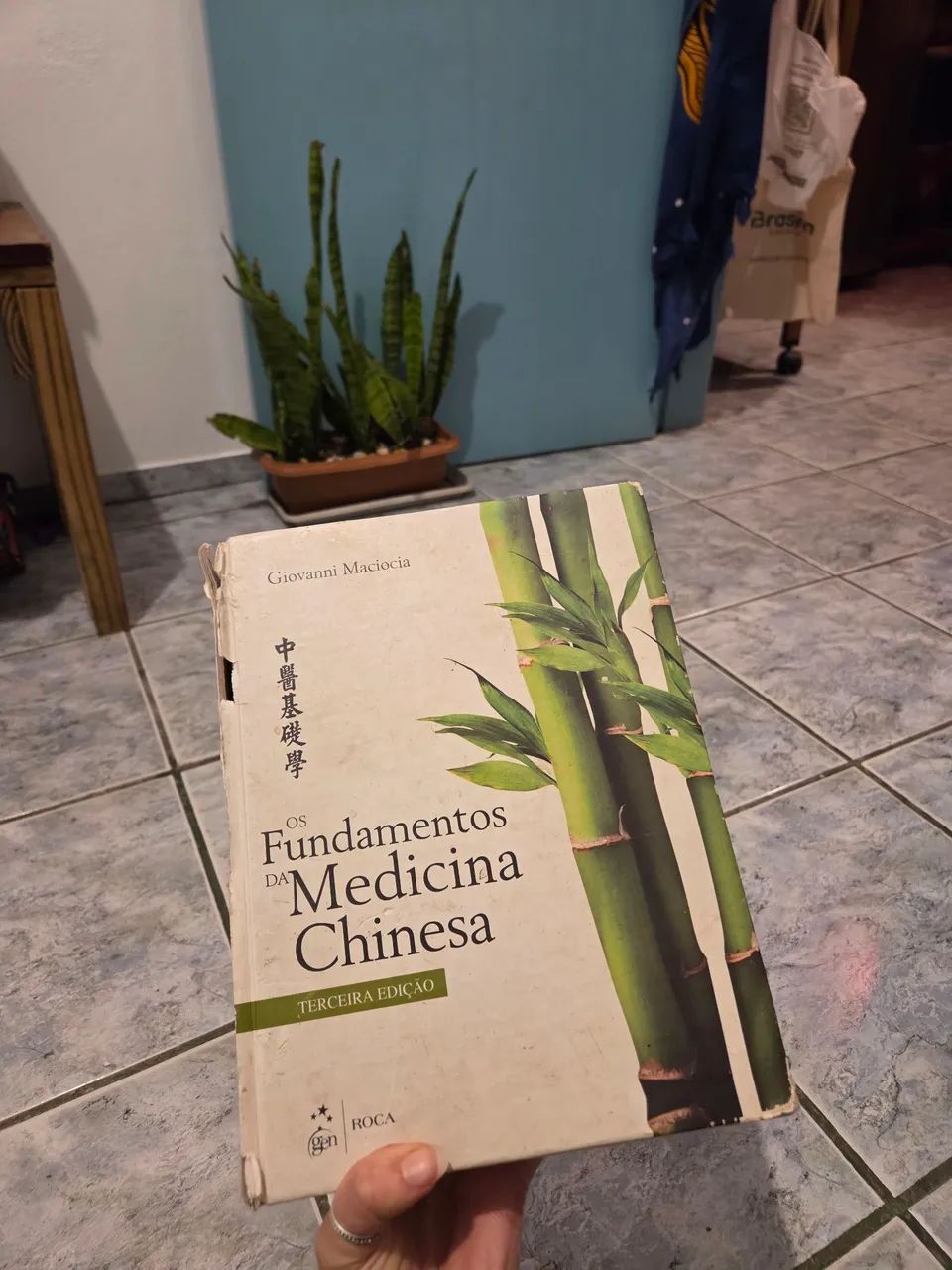Livro os fundamentos da medicina chinesa 