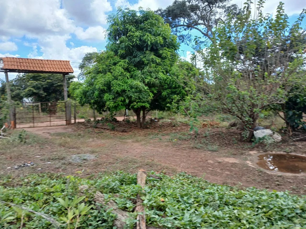 Chacara a venda  - Foto 5