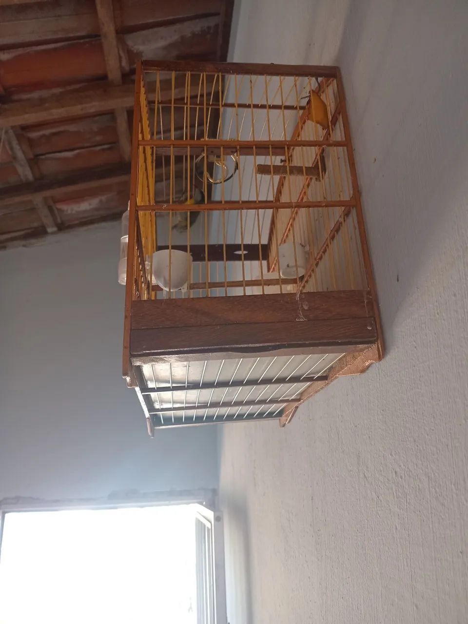 Gaiola baianinha  - Foto 2