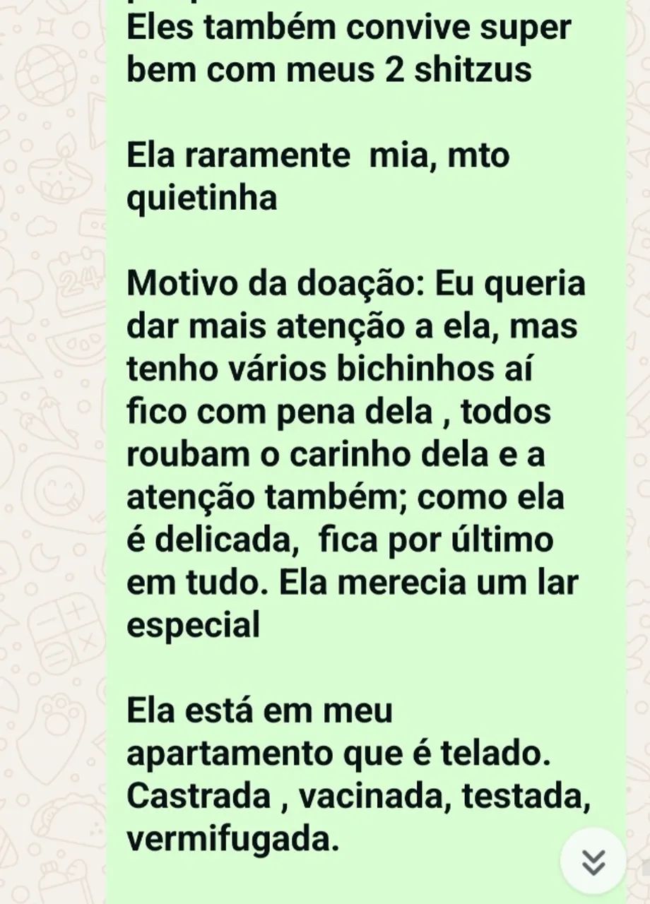 DOA-SE - Foto 4