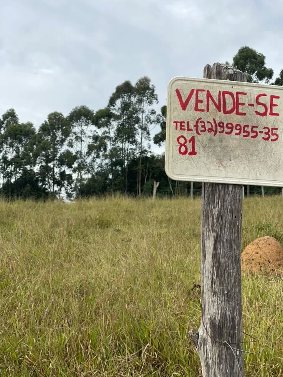 Vendo Lote 360m2 - Foto 3