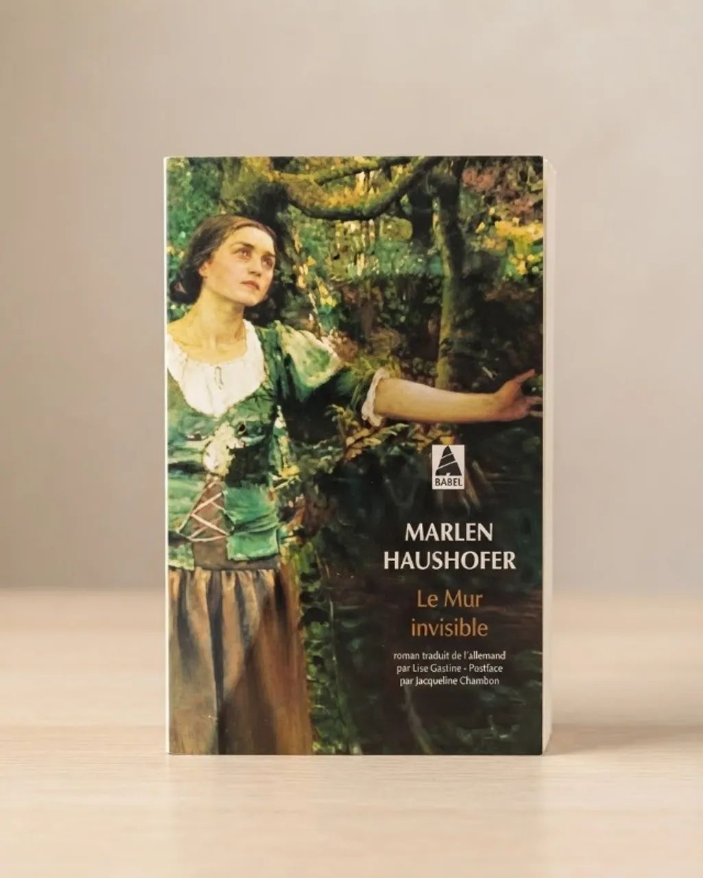 MARLEN HAUSHOFER - LE MUR INVISIBLE